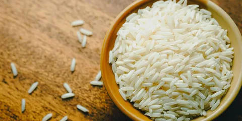 برنج طارم جنوب زود پخت و باکیفیت